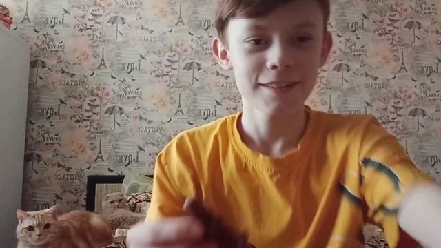 Обзор на Monster Flex Mini смотреть онлайн