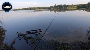 The Shimano Calcutta conquest bfs hg vs The Daiwa Steez ct sv tw