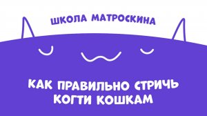Школа Матроскина. Как правильно стричь когти кошкам?