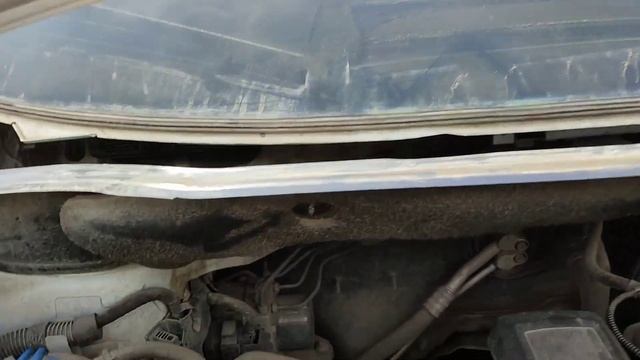 European Auto Enthusiast Club