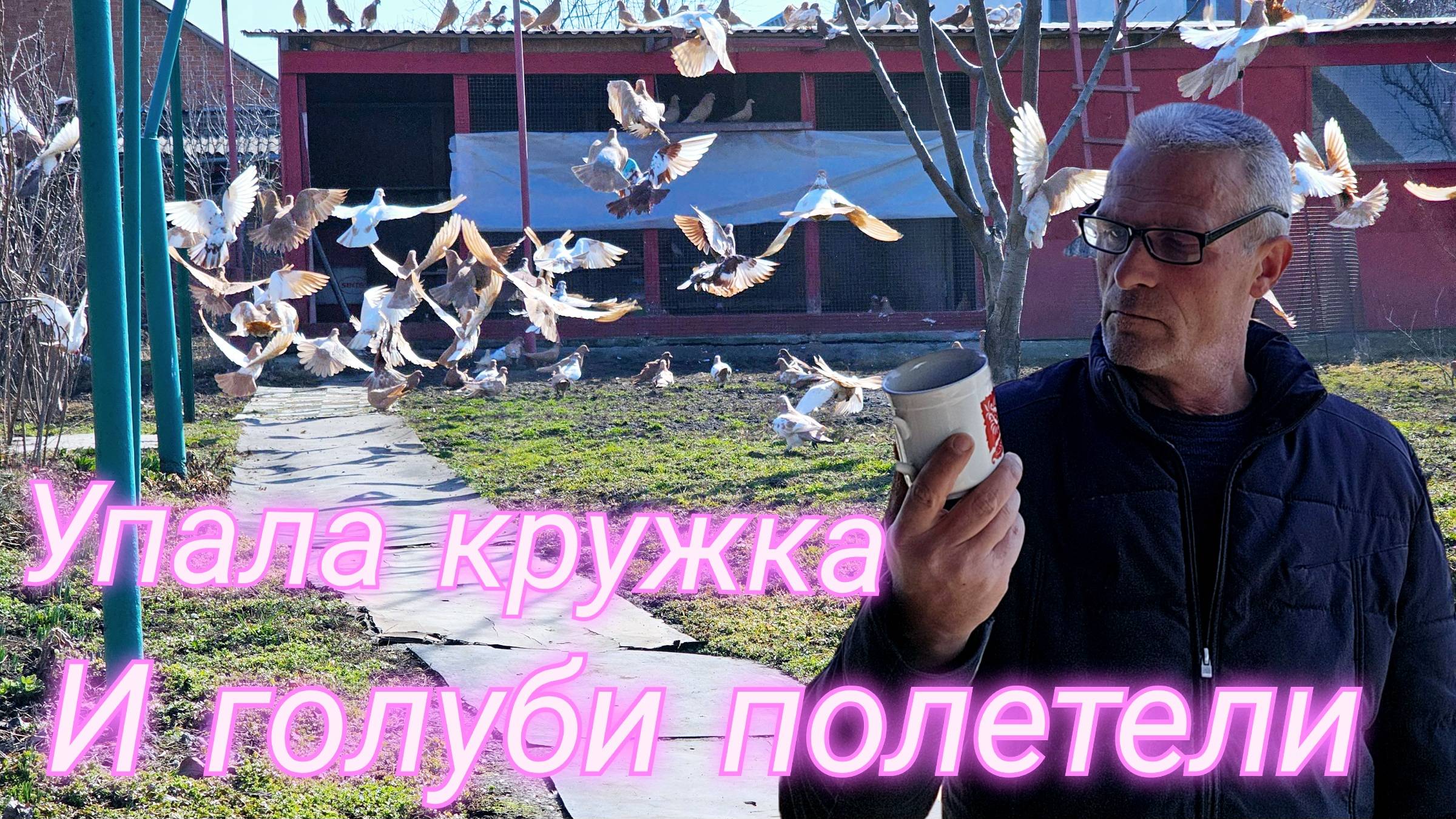 Получилось так что голуби полетели смотреть онлайн