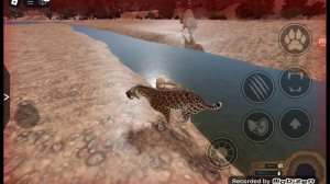 Играю за саблезубого тигра в Роблокс!!!!Ecos:La Brea в Roblox!!!