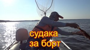 Воблер инквизитор сделал рыбалку. Воблер, который реально ловит хищника