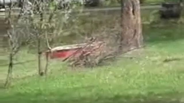 ЗАГОТОВКА ХВОРОСТА