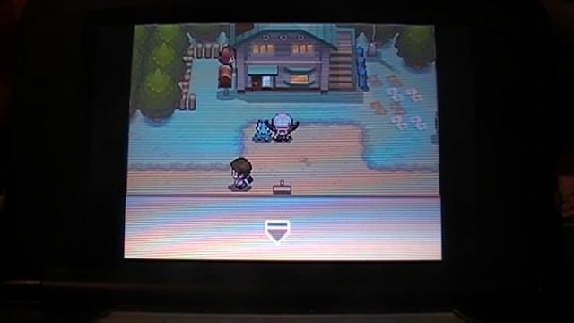 (TQ #1) Shiny Totodile appears after 2,428 SRs in SoulSilver! (7-1-15) смотреть онлайн