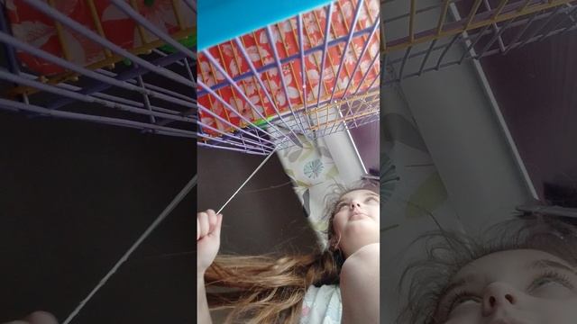 VID_20250311_133744.mp4