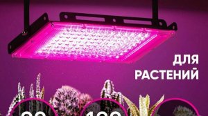 Фитопрожектор для растений светодиодный 50-100Вт доработка