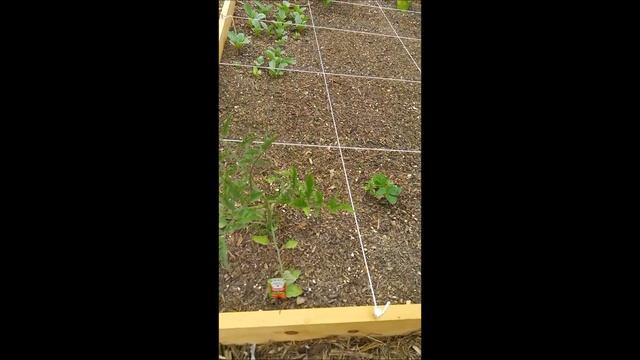 Welcome to Juniper Farms смотреть онлайн