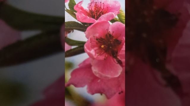 Как определить кто друг, а кто враг. Рассказывает Хакимов