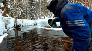 КУЗНЯ 1937 ГОДА! РУЧЕЙ С ЗОЛОТОМ. КОЛЕСНИЦЫ, ПЕКАРНЯ! ПЕРВЫЕ ПРОБЫ МЕТАЛЛА. ЗАПРЕТ ДОБЫЧИ ЗОЛОТА!