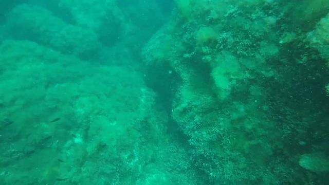 Тарханкут май 2018