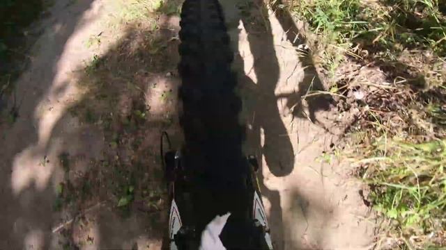 Велосипедная прогулка в лесу смотреть онлайн