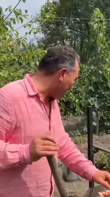 Ягнёнок на вертеле #деньрождения #сергопудра смотреть онлайн