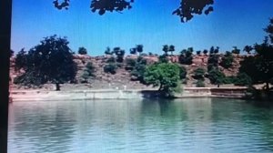 любви все возрасты