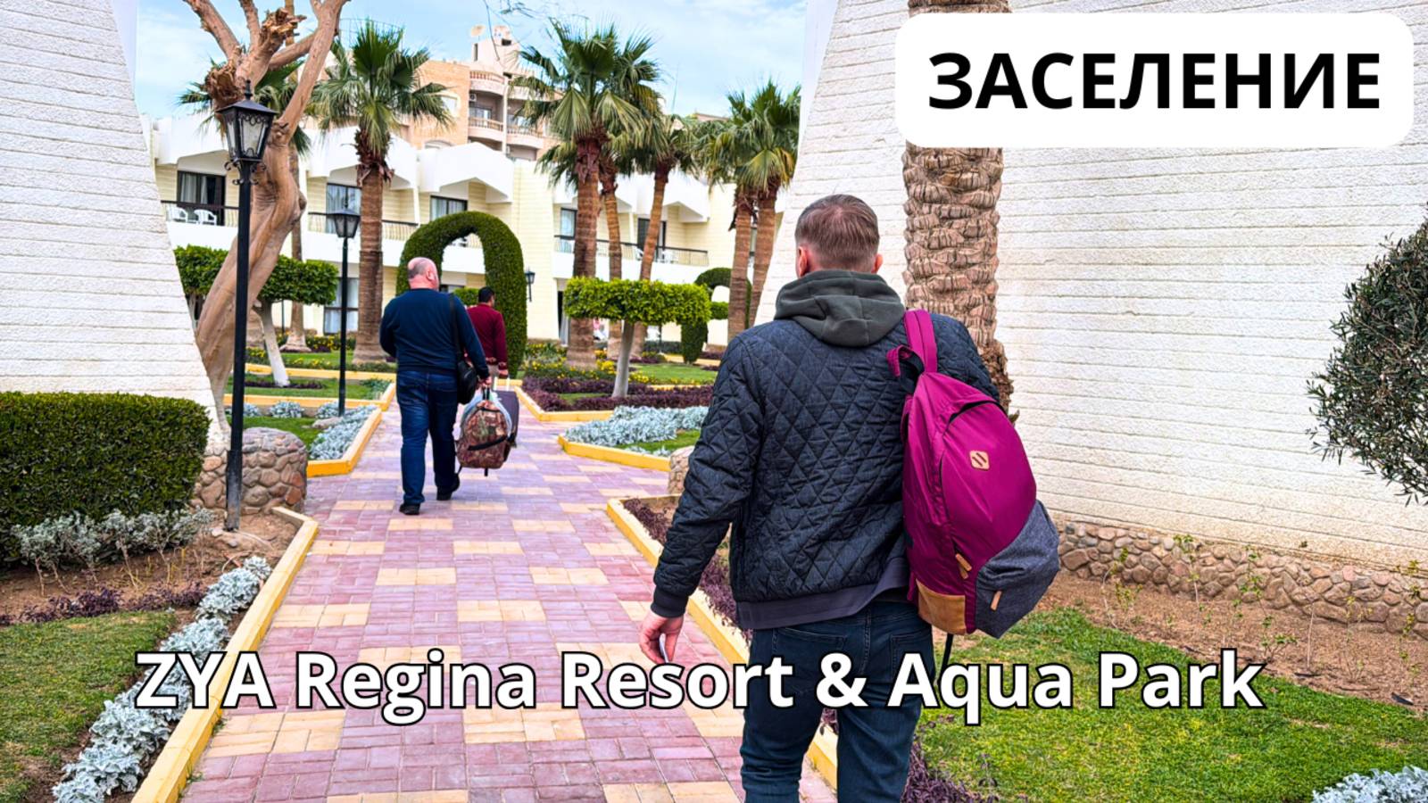 Египет 2025/ ЗАСЕЛЯЕМСЯ в отель ZYA Reginа Resort & Aqua Park 4* в Хургаде / Хургада 2025 смотреть онлайн