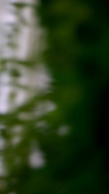 Новая звезда зажглась на небосклоне архитектурных достижений — жилой комплекс «Свой Берег»! смотреть онлайн