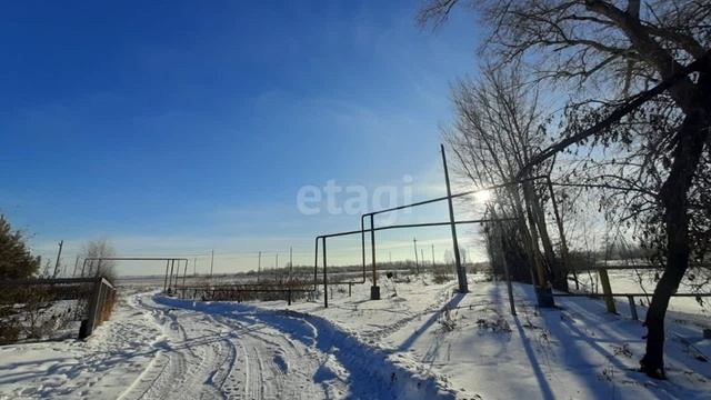 11746500 смотреть онлайн