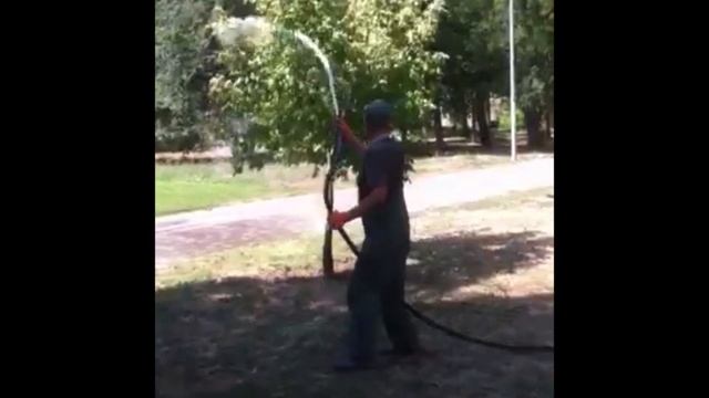 Одесский Горзелентрест обустраивает территорию парков и борется с американской бабочкой смотреть онлайн