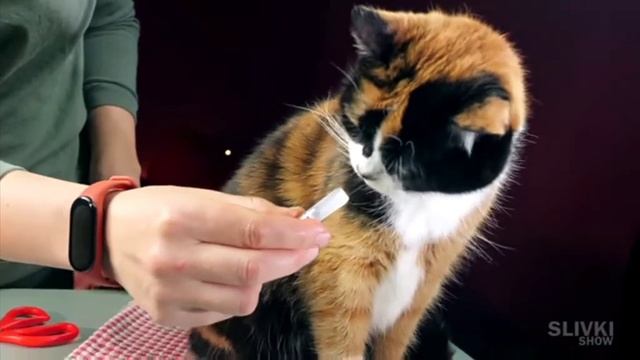 китайцы опять привезли куча упаковок