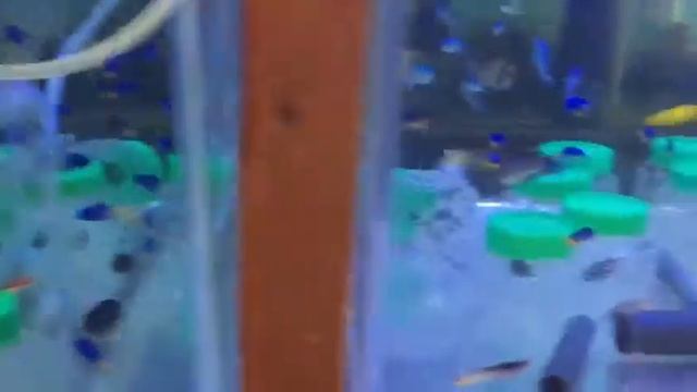 Калипсо смотреть онлайн