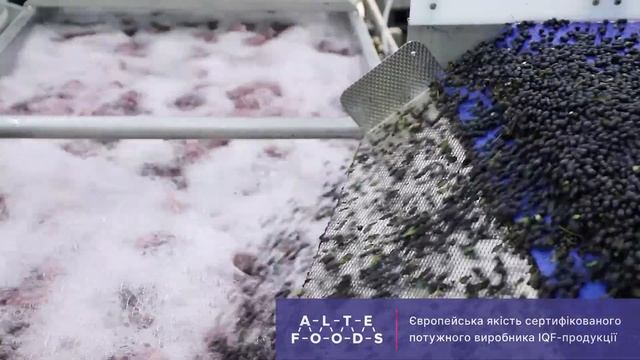 Високотехнологічний завод збудовано з дотриманням всіх екологічних норм у 2021 році. смотреть онлайн