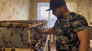 Конструкция маточных столов и затраты на них.