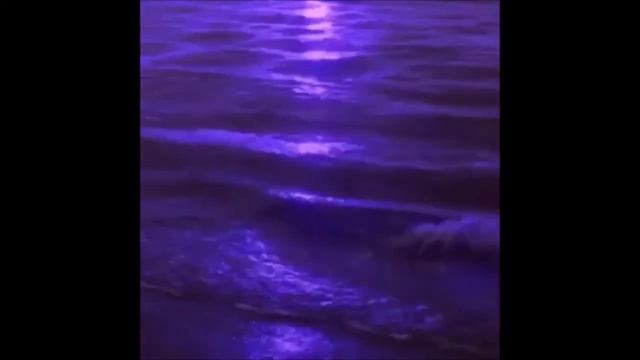 Playboi Carti - Rockstar Made (𝒔𝒍𝒐𝒘𝒆𝒅 + 𝒓𝒆𝒗𝒆𝒓𝒃)