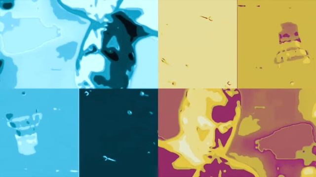 Never | 13 | Black Footed Albatross смотреть онлайн