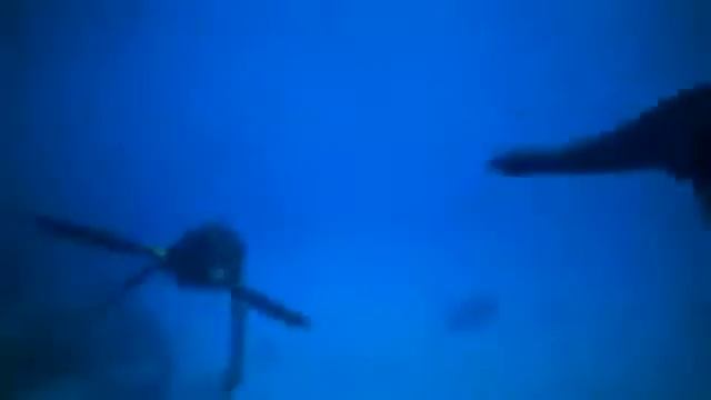 Путешествие в мезозой