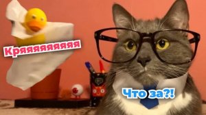 ЕСЛИ БЫ КОТИКИ ХОДИЛИ В ШКОЛУ-ШКОЛЬНЫЕ БУДНИ ЛОТКОВА