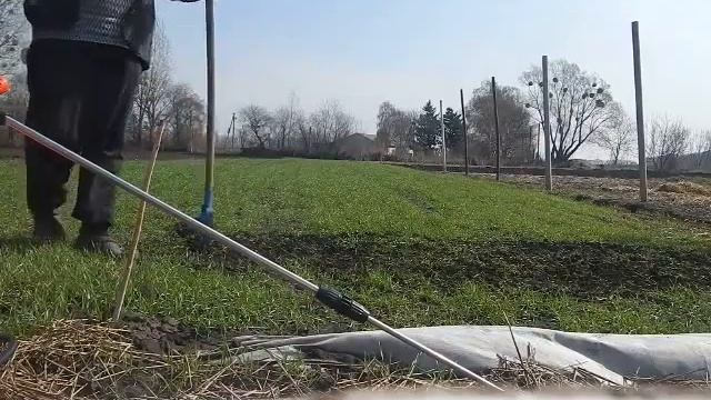 эксперемент по удалению ростков озимой пшеницы.препаратом байкал и тамир смотреть онлайн