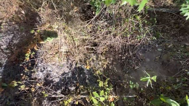 FIRE DEPT & GAME WARDEN... IN SAME DAY!