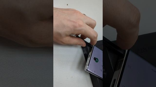 1000045362.mp4 смотреть онлайн