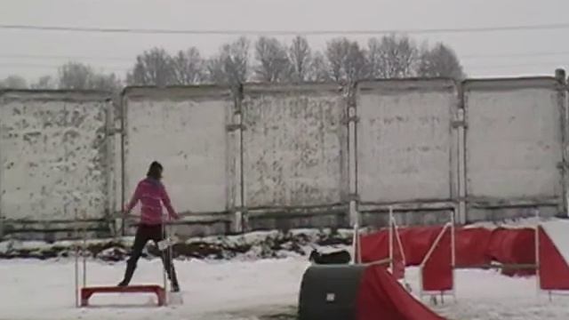 Гога Л. и шелти джампинг смотреть онлайн
