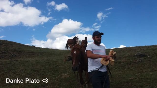 EP 8 I Georgien Teil 3 I Biken im Kaukasus I WELTUMSAURERUNG смотреть онлайн