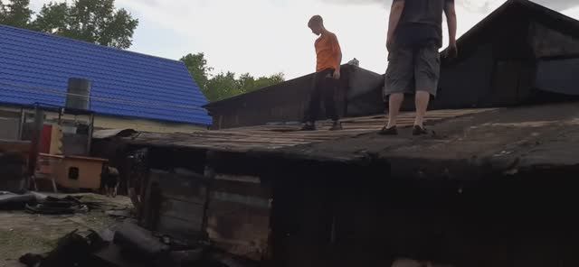 ТАЙНА РАСКРЫТА. МЫ НАЧИНАЕМ. ЧТО РАСТЕТ.