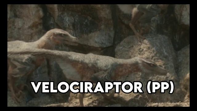 Feather family skins for deinonychus! -Feather family summer of fossils #featherfamily #jw #birds смотреть онлайн