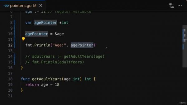 067 Pointers as Values