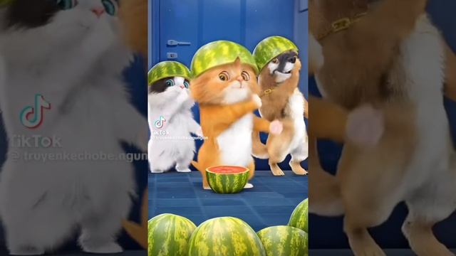 дуридуридуридамадам смотреть онлайн