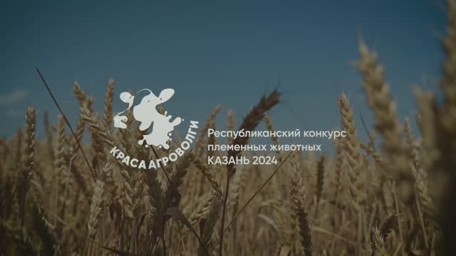 Краса АГРОВОЛГИ 2024