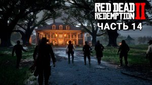 Red Dead Redemption 2 - Прохождение #14