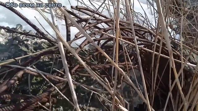 Зимний металлокоп. Арматурное поле снова нас радует находками. смотреть онлайн