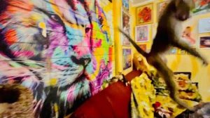 Вы будете СМЕЯТЬСЯ до СЛЕЗ! Люська вернулась домой и жжет по черному)))