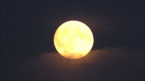 ПОЛЁТ НА ЛУНУ НЕ ВЫХОДЯ ИЗ ДОМА.