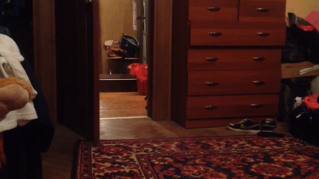 Кота не зря зовут Барбос - потому что он считает себя собакой смотреть онлайн