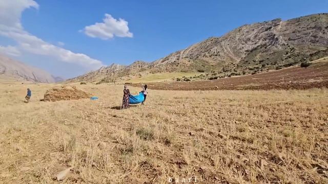 Zelfa is pregnant 🤰; a new struggle: Zelfa's determined journey смотреть онлайн