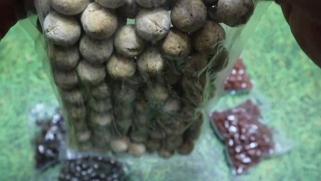 Бойли для лову коропа смотреть онлайн