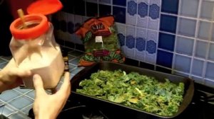 The Healthiest Snack Ever - Quick Easy and Delicious Kale Chips Recipe!
