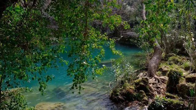 Муж отправил на переговоры жену с сыном, вместо себя и привел любовницу… А поняв речь иностранцев…