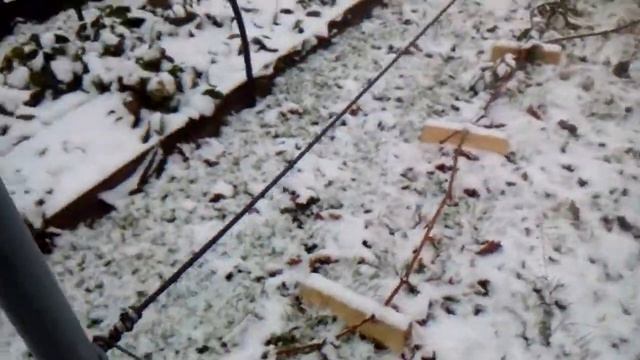 01.Укладка винограда к зимовке. смотреть онлайн